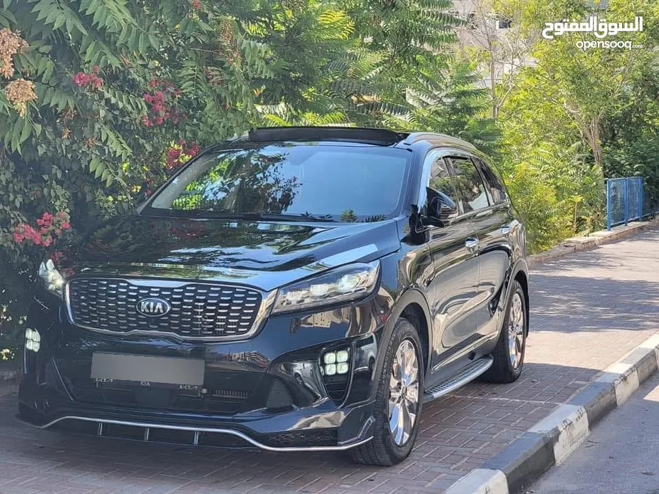 هيثم فيصل يوسف