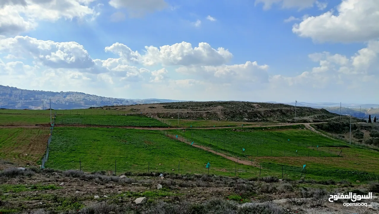 نمرتين ارض للبيع