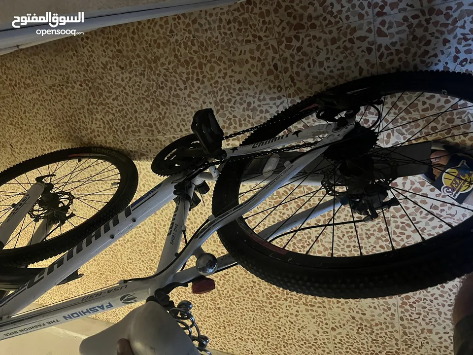 بسكليت 26 للبيع
