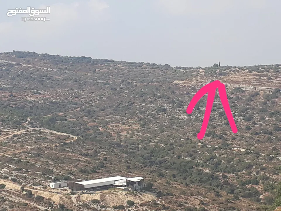 ارض في اعلى قمة دير بزيع كاشفة ومطلة من كل الاتجاهات