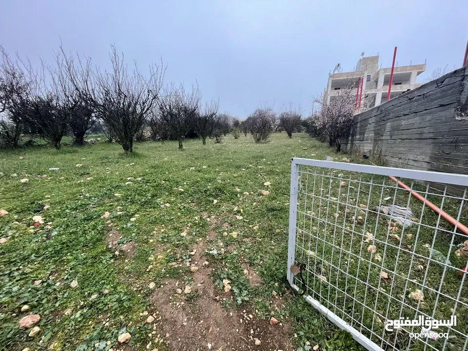 ارض للبيع بنص السعر و دقيقة عن خط ستين و 10 دقايق عن راس الجورة ، موقع ممتاز واصل كافة الخدمات