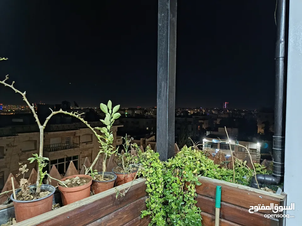 روف مفروش للايجار