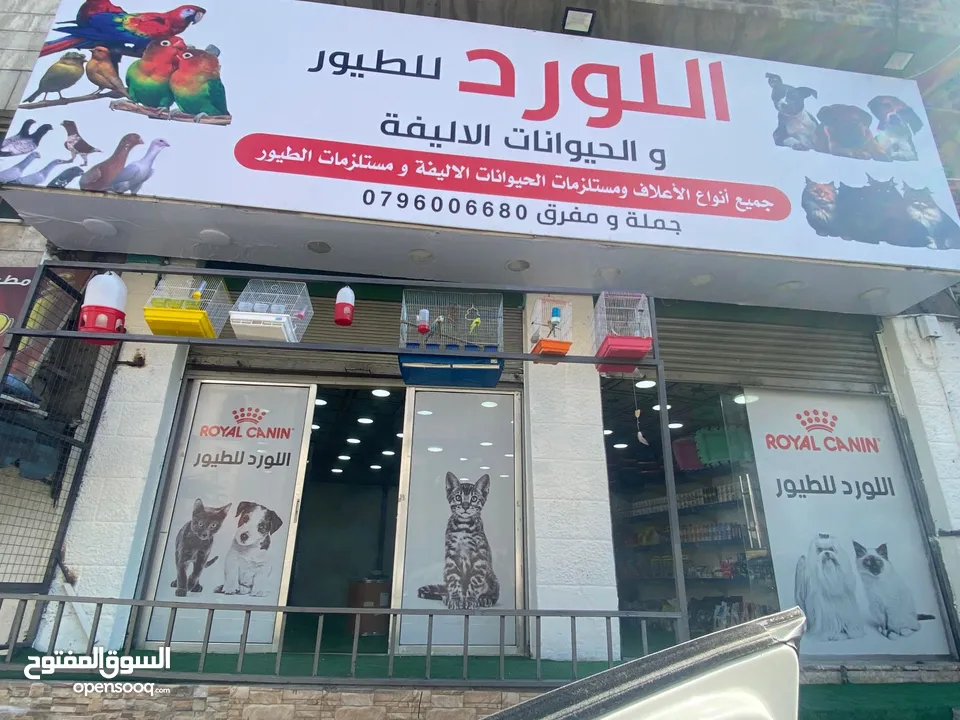 محل حيونات للبيع