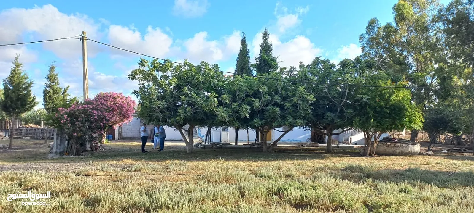 ارض للبيع منطقة بوكدور طنجة