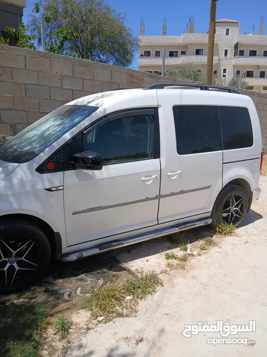 كادي لابيع 2018