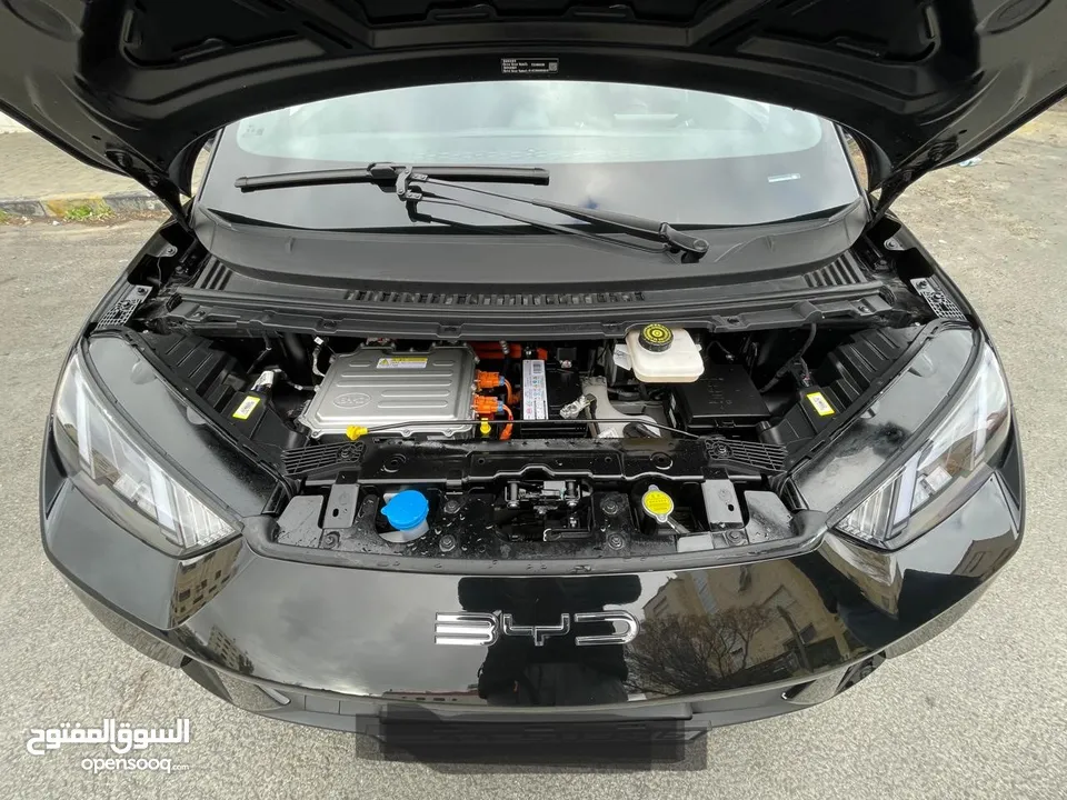 BYD SEAGUL 2023  مستعمل فحص كامل اقساط من المعرض مباشره