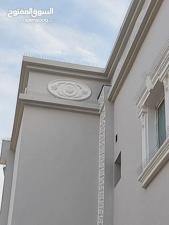 طارد الحمام والطيور