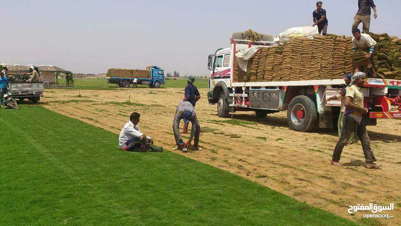 رمل احمر العين وجميع انواع مواد البناء بسعر مناسب