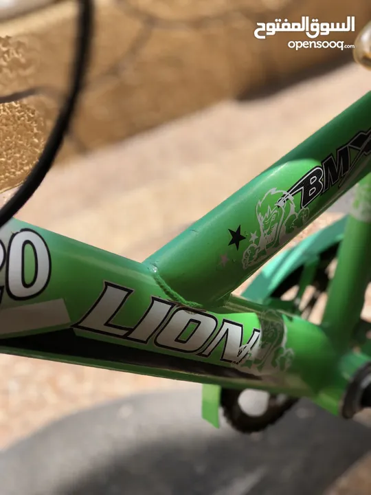 BMX 20-Lion