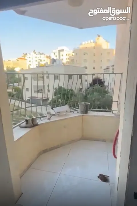 واثق المصري