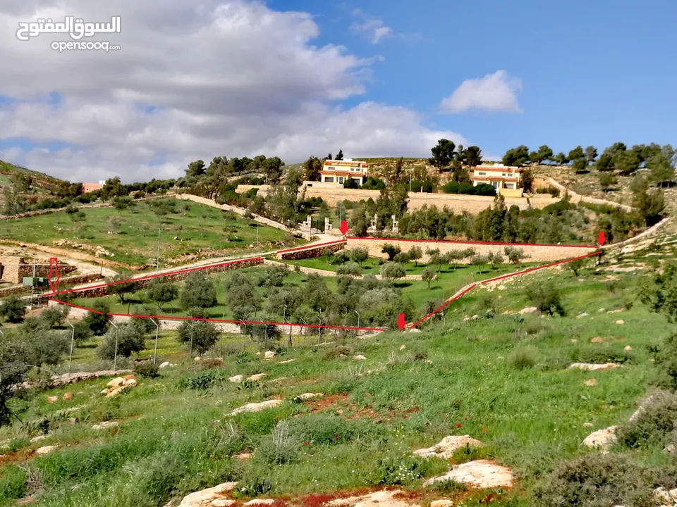 فرصة مغرية جدا لشراء ارض 4013 متر مربع للبيع بسعر مغري جدا في اجمل مناطق جرش واقربها لعمان