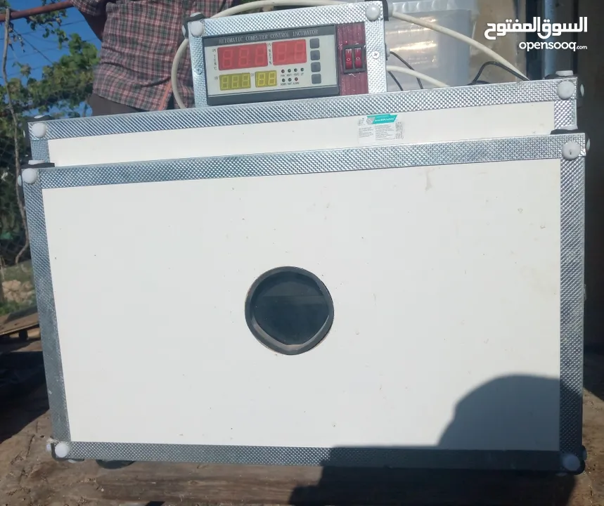 فقاسة بيض دجاج و فري