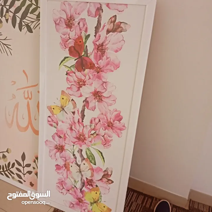 مجموعه صور احجام مختلفه