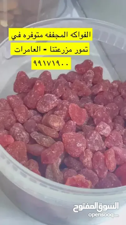 مجموعة غذائية رائعه بالجمله