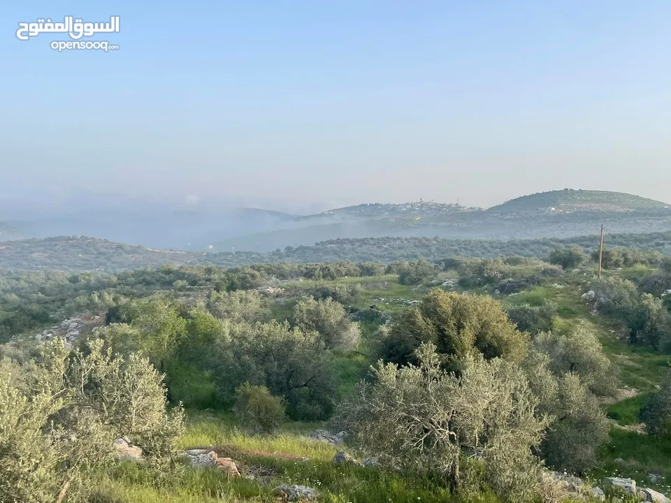 أراضي للبيع بمساحات متعددة - طولكرم - كفرعبوش