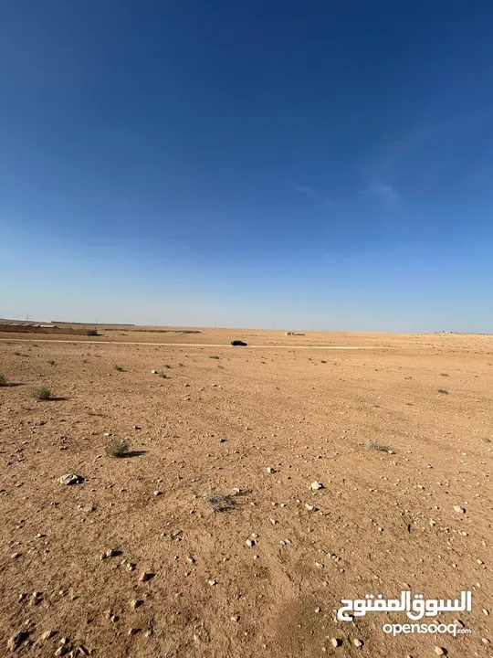 قطعة ارض للبيع الموقر (حوض الحماد) 4 دونمات