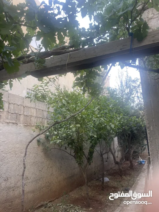 بيت مستقل للبيع ابوعلندا منطقة الرقيم