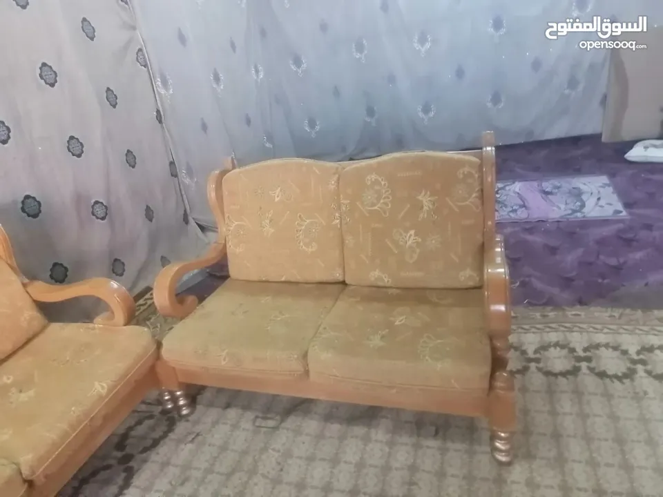 طقم مورس قرن الغزال زان كامل