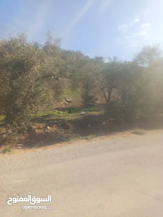 ارض زراعيه ذات موقع مميز