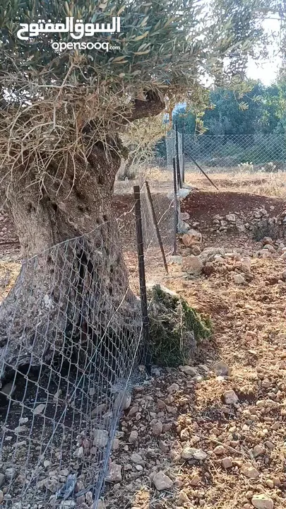 قطعة ارض للبيع في كوبر