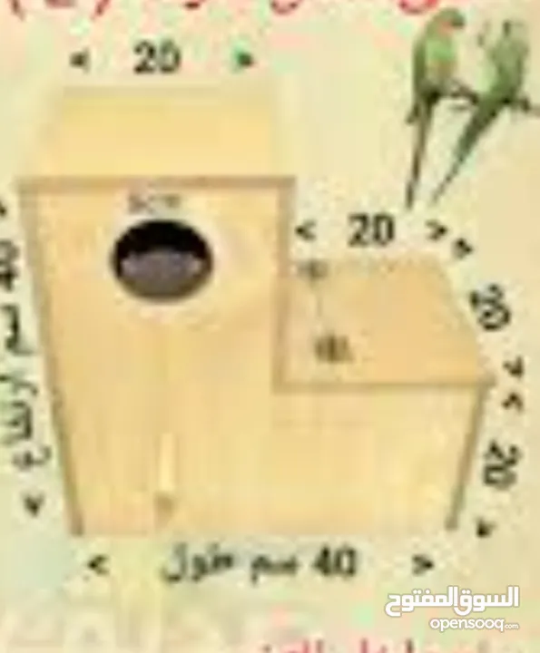 مطلوب كوخ ببغاء دره