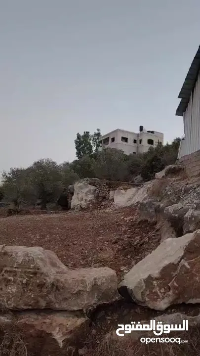 كوبر / أرض للبيع مساحه 750 متر مشجره بالزبتون