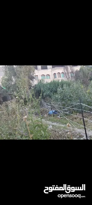تسييج اراضي سياج شوك و بقلاوة وكافة الانواع