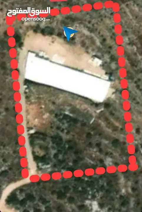 اراض 9 دونم مع مشروع مزرعه جاج مرخصه و موقع استراتيجي قريب ع معبر تجاري و مدخل اهل الداخل محتل