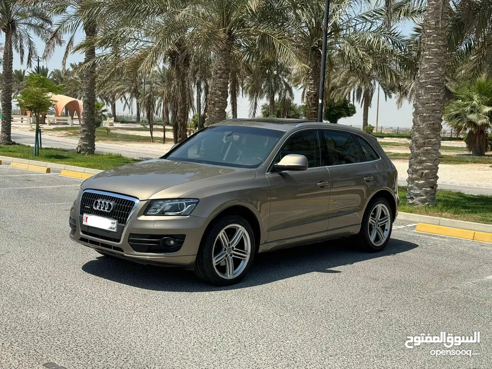 Audi Q5 / 2009 (Beige)