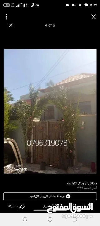 @يوجد لدينا #ورق نخيل لتزيين ابواب الحدائق ولمنازل لاستقبال @#حجاج بيت الله
