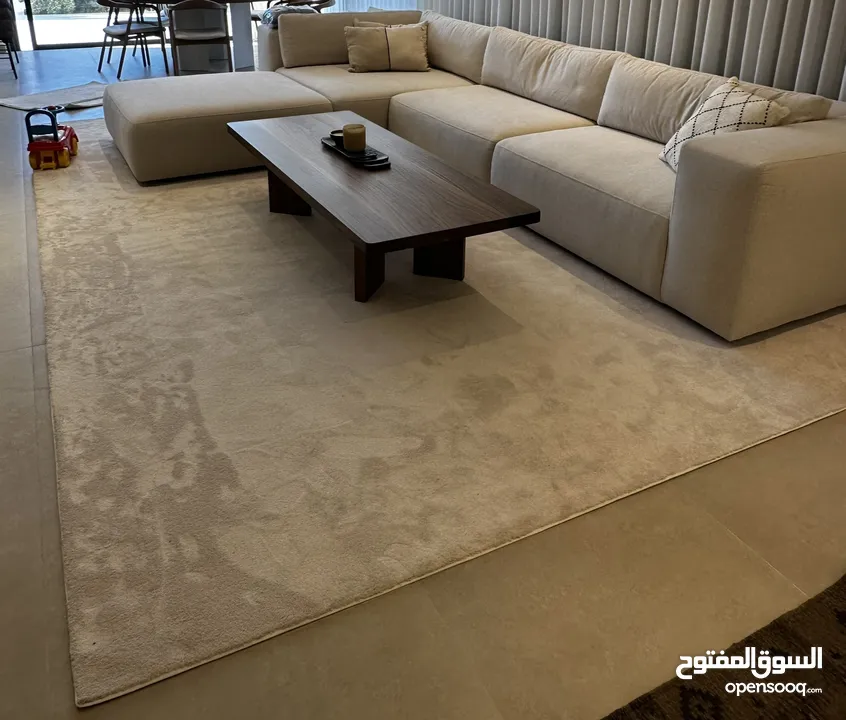 Brand New Living Room Carpet / سجادة جديدة للبيع