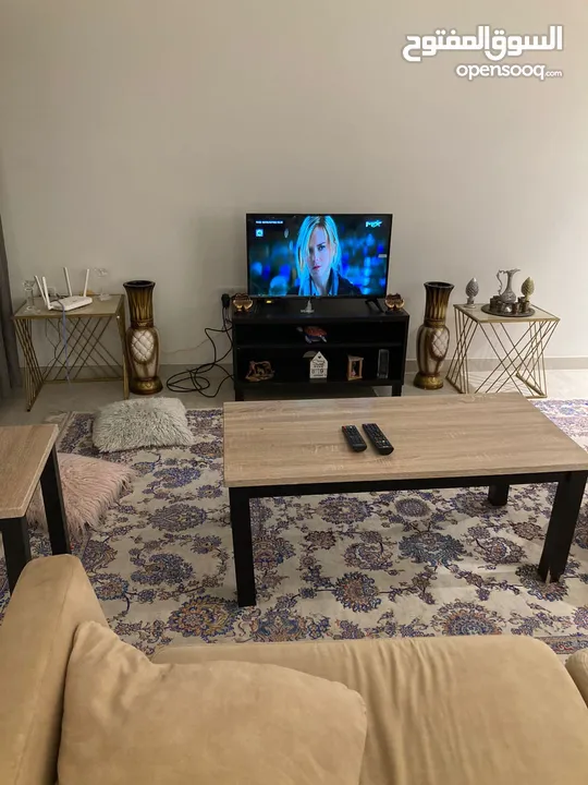 Fully furnished 1BHK Apartment