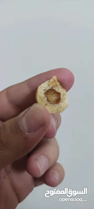 كابوكي حجم بيع الشيكل (حجمه مثل ظرف الشيكلين ،وزن :35 غرام, و هناك سعر خاص لموزعي الجمله).