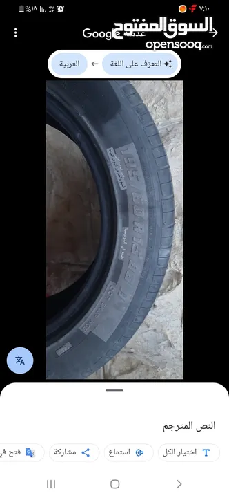 فردتين كوشوك نص عمر للبيع اندونيسيا