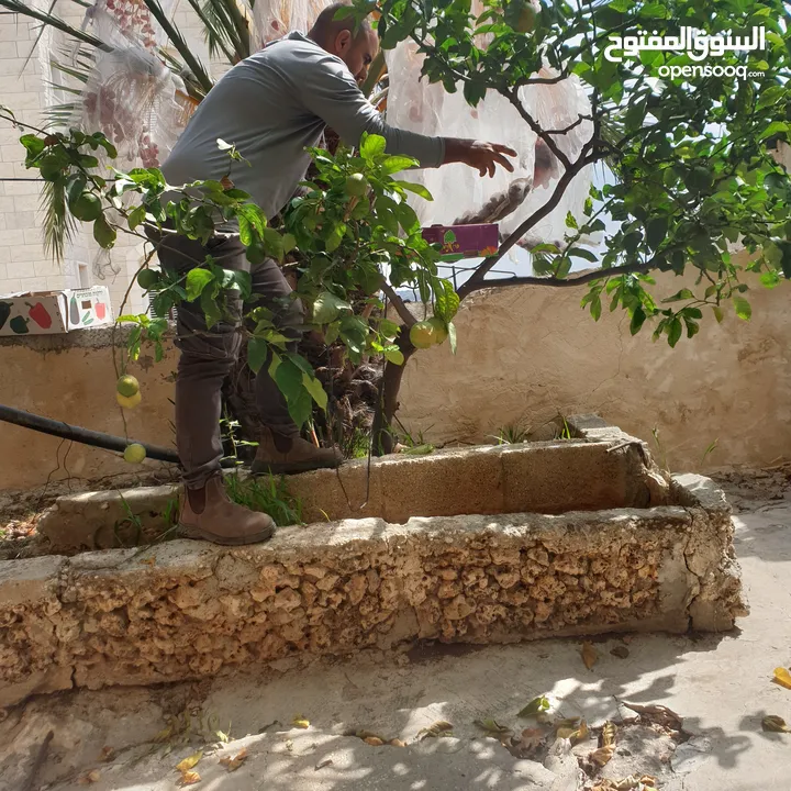 بيت 3 طوابق للبيع