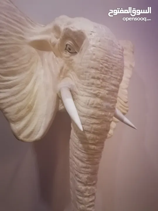 مجسم كبير ل رأس الفيل