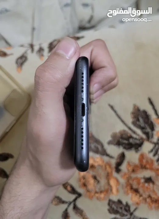 ايفون 11 عرطه  iPhone 11