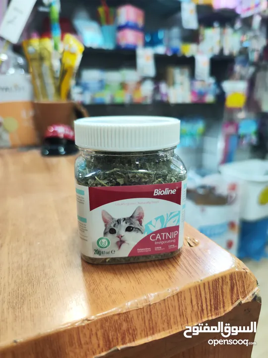 يا صاحبي! يبدو أن قطتك في طريقها لقضاء وقت ممتع! هل سبق لك أن جربت زراعة النعناع البري الخاص بك؟