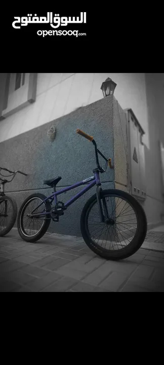 2013 STLN CASINO (BMX)