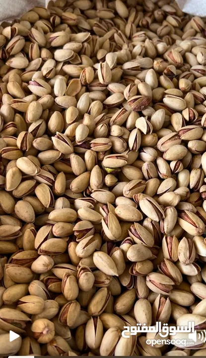 Iranian Pistachio