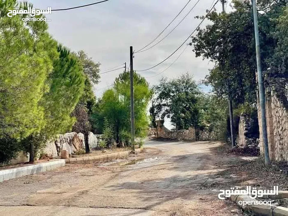 شقه ارضيه للأيجار في اجمل مناطق دابوق قرب بيت الزيارة الرهبات الورديه مساحه 240m وحديقة 300m