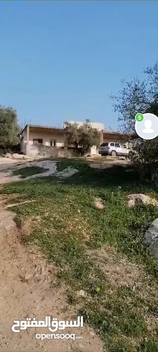 ارض من أراضي اربد في قريت بيت يافا معمر عليها بيت قديم