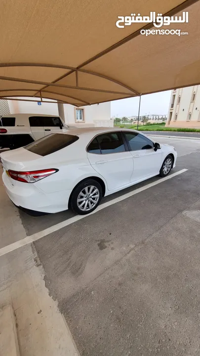 toyota camry le 2019