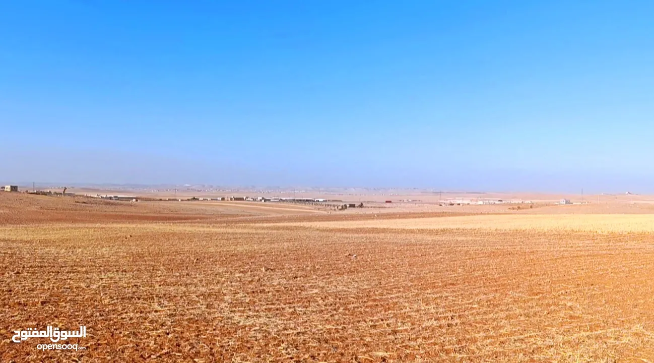 ارض استثمارية مميزة/ مزرعة تميرة للبيع بسعر مناسب جدا من المالك مباشرة/تم بيع قطعتين و باقي قطعتين
