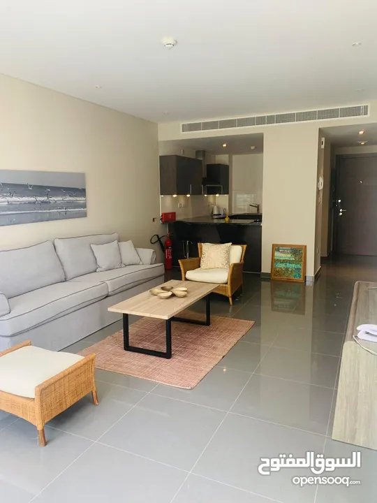 LUXURY FURNISHED FLAT IN MERIA SOUTH GOOD INVESTMENT