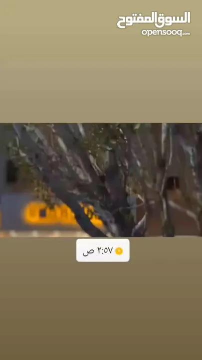 خبره بتجهيز مطاعم وجبات سريعه