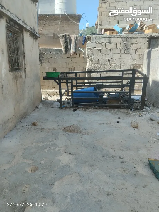 صندوق بينجو 2012