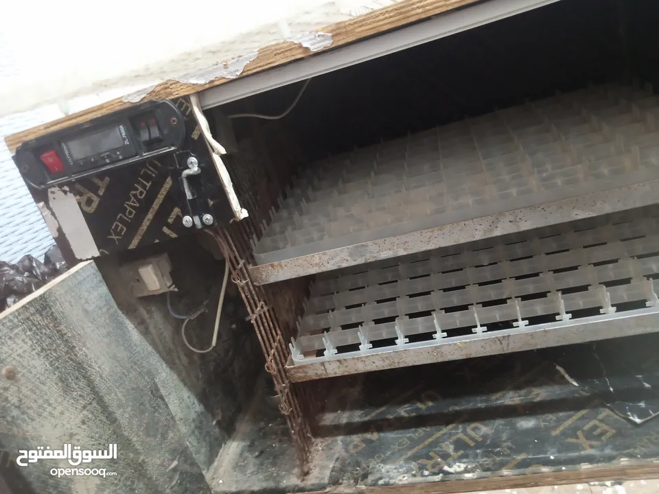 فقاسه بيض دجاج وفري