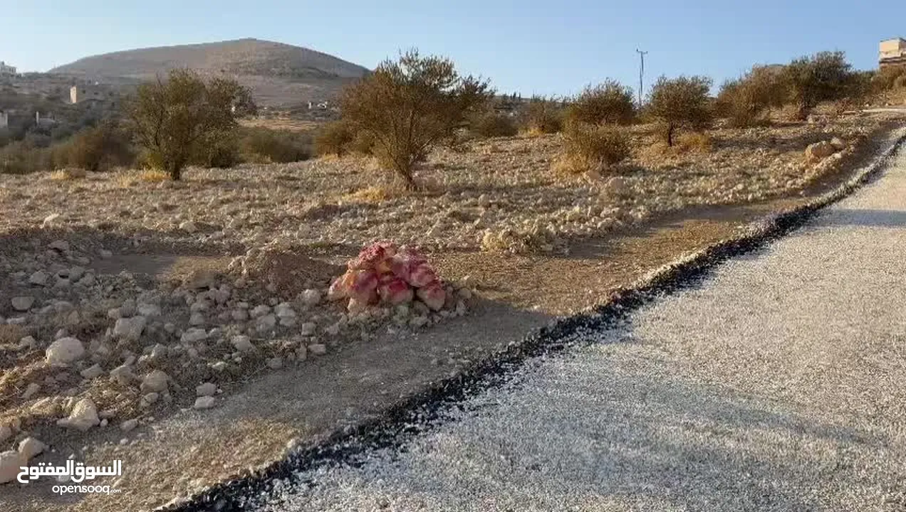 ارض زراعية مميزة لقطة استثمارية صروت حوض حدد من المالك مباشرة