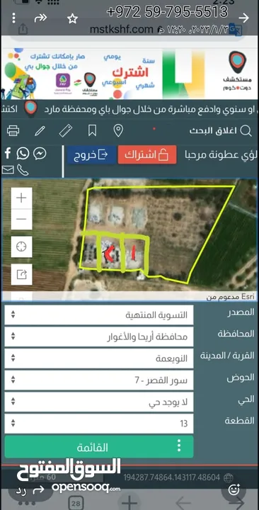 فلل عدد التنين في أريحا